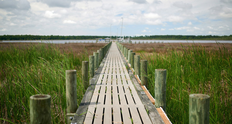 White Oak Shores