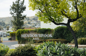 Meadowbrook