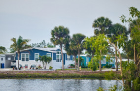 Bay Indies