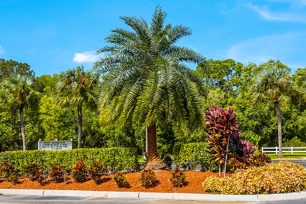 Island Vista Estates 17 Homes Available 3000 N. Tamiami Trail, N