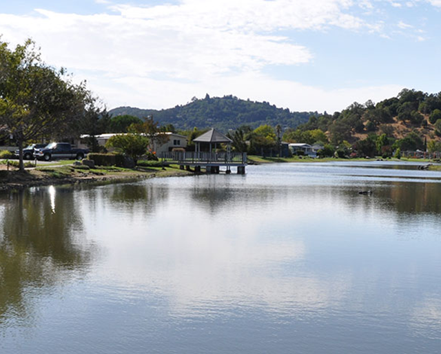 Contempo Marin main photo